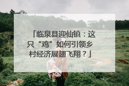 临泉县迎仙镇：这只“鸡”如何引领乡村经济展翅飞翔？