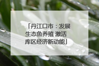 丹江口市：发展生态鱼养殖 激活库区经济新动能