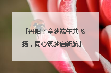 丹阳：童梦端午共飞扬，同心筑梦启新航