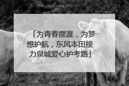 为青春摆渡，为梦想护航，东风本田接力泉城爱心护考路
