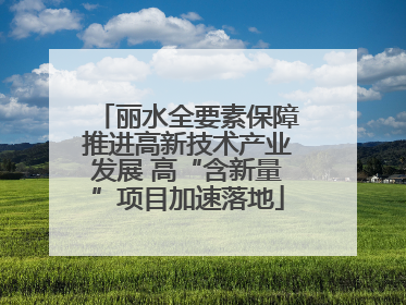丽水全要素保障推进高新技术产业发展 高“含新量”项目加速落地