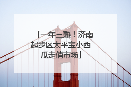 一年三熟！济南起步区太平宝小西瓜走俏市场