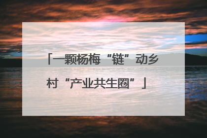 一颗杨梅“链”动乡村“产业共生圈”