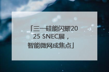 三一硅能闪耀2025 SNEC展，智能微网成焦点