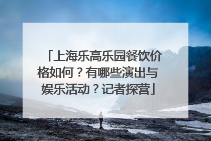上海乐高乐园餐饮价格如何？有哪些演出与娱乐活动？记者探营