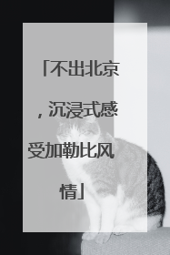 不出北京，沉浸式感受加勒比风情