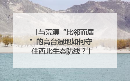 与荒漠“比邻而居”的高台湿地如何守住西北生态防线？