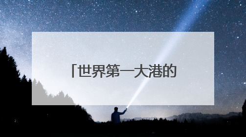 世界第一大港的“第六港区”有多“6”？记者直击开港现场