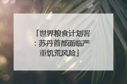 世界粮食计划署：苏丹首都面临严重饥荒风险