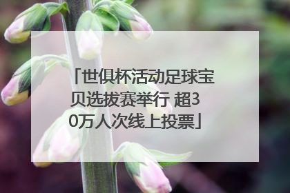 世俱杯活动足球宝贝选拔赛举行 超30万人次线上投票