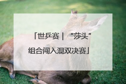 世乒赛｜“莎头”组合闯入混双决赛