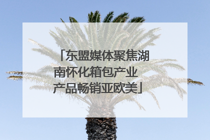 东盟媒体聚焦湖南怀化箱包产业 产品畅销亚欧美