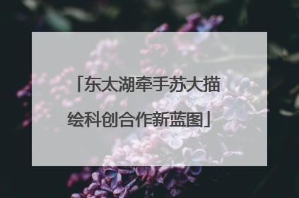 东太湖牵手苏大描绘科创合作新蓝图
