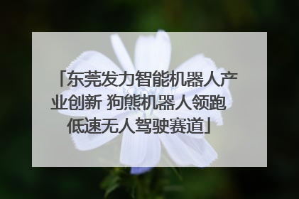 东莞发力智能机器人产业创新 狗熊机器人领跑低速无人驾驶赛道
