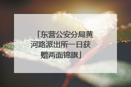 东营公安分局黄河路派出所一日获赠两面锦旗