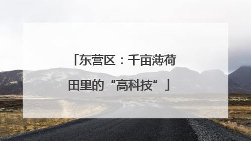东营区：千亩薄荷田里的“高科技”