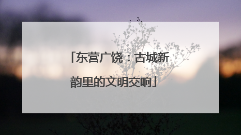 东营广饶：古城新韵里的文明交响