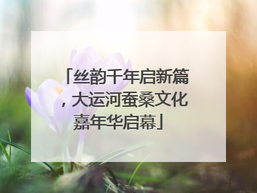 丝韵千年启新篇，大运河蚕桑文化嘉年华启幕