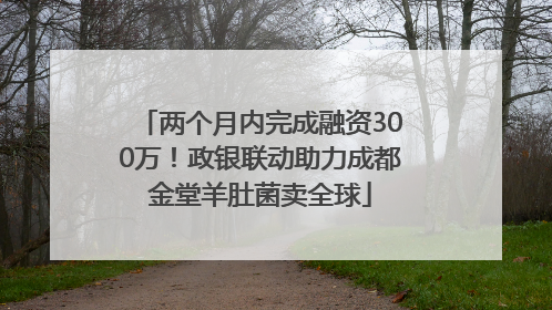 两个月内完成融资300万！政银联动助力成都金堂羊肚菌卖全球