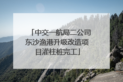 中交一航局二公司东沙渔港升级改造项目灌柱桩完工