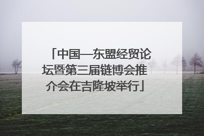 中国—东盟经贸论坛暨第三届链博会推介会在吉隆坡举行
