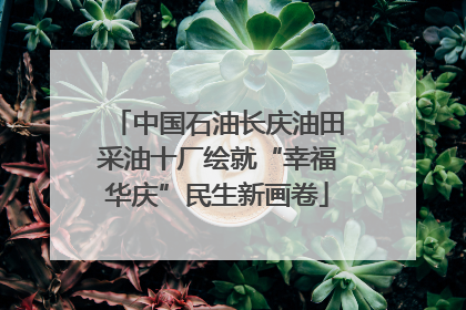 中国石油长庆油田采油十厂绘就“幸福华庆”民生新画卷