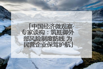 中国经济微观察·专家谈构：筑抵御外部风险制度防线 为民营企业保驾护航