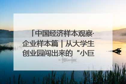 中国经济样本观察·企业样本篇｜从大学生创业园闯出来的“小巨人”——卡诺普机器人的逐梦历程