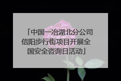 中国一冶湖北分公司信阳步行街项目开展全国安全咨询日活动