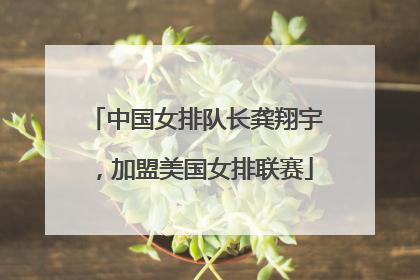 中国女排队长龚翔宇，加盟美国女排联赛
