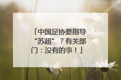 中国足协要指导“苏超”？有关部门：没有的事！
