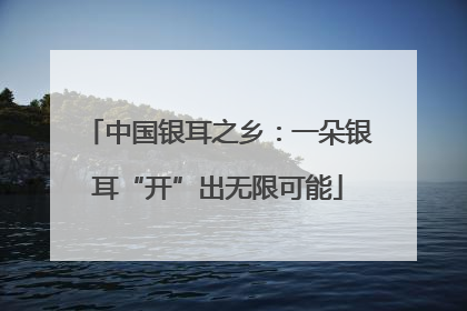 中国银耳之乡：一朵银耳“开”出无限可能