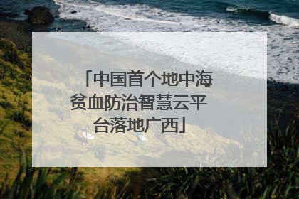 中国首个地中海贫血防治智慧云平台落地广西