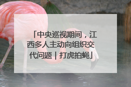中央巡视期间，江西多人主动向组织交代问题｜打虎拍蝇