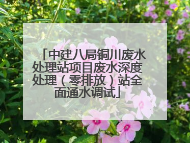 中建八局铜川废水处理站项目废水深度处理（零排放）站全面通水调试