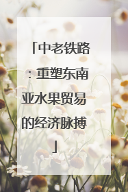 中老铁路：重塑东南亚水果贸易的经济脉搏