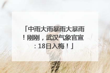 中雨大雨暴雨大暴雨！刚刚，武汉气象官宣：18日入梅！