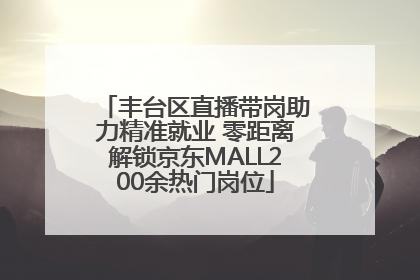 丰台区直播带岗助力精准就业 零距离解锁京东MALL200余热门岗位