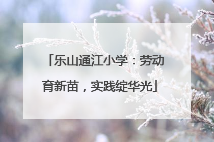 乐山通江小学：劳动育新苗，实践绽华光
