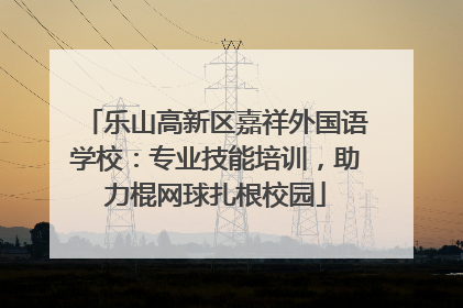 乐山高新区嘉祥外国语学校：专业技能培训，助力棍网球扎根校园