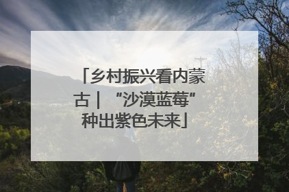 乡村振兴看内蒙古｜“沙漠蓝莓”种出紫色未来