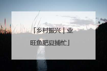 乡村振兴｜业旺鱼肥夏捕忙