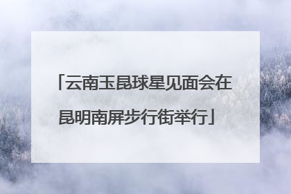 云南玉昆球星见面会在昆明南屏步行街举行