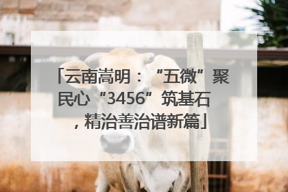 云南嵩明：“五微”聚民心“3456”筑基石，精治善治谱新篇