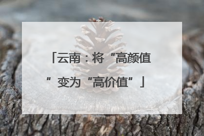 云南：将“高颜值”变为“高价值”