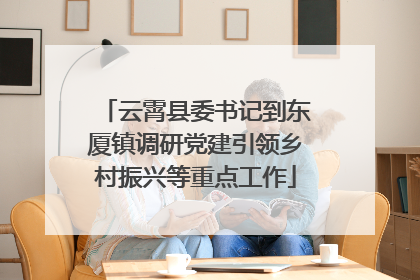 云霄县委书记到东厦镇调研党建引领乡村振兴等重点工作