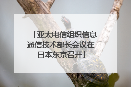 亚太电信组织信息通信技术部长会议在日本东京召开