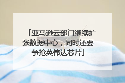 亚马逊云部门继续扩张数据中心，同时还要争抢英伟达芯片