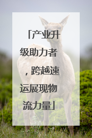 产业升级助力者，跨越速运展现物流力量