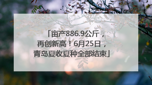 亩产886.9公斤，再创新高！6月25日，青岛夏收夏种全部结束